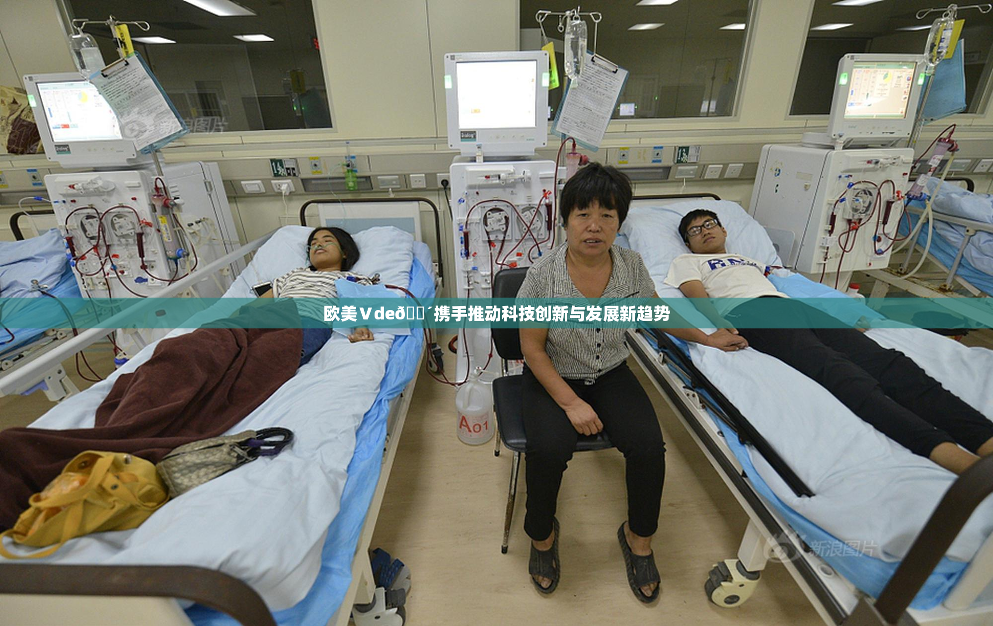 欧美Ⅴde🔴携手推动科技创新与发展新趋势