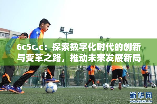 6c5c.c：探索数字化时代的创新与变革之路，推动未来发展新局面