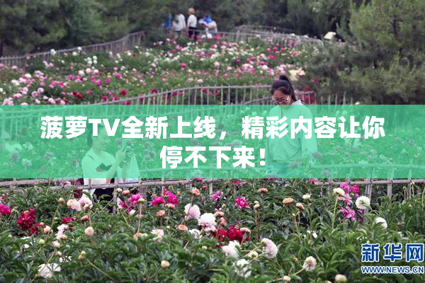菠萝TV全新上线，精彩内容让你停不下来！
