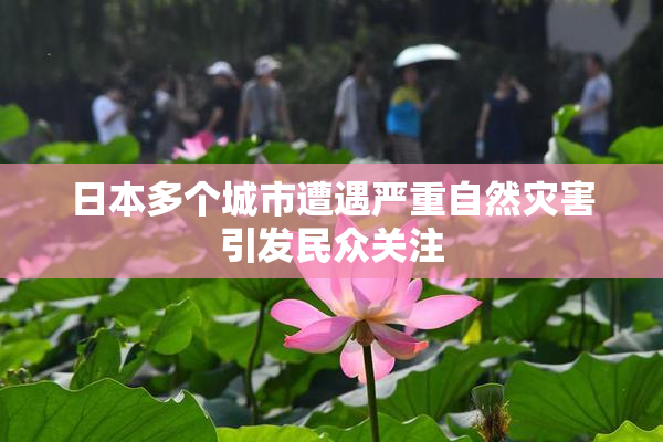 日本多个城市遭遇严重自然灾害引发民众关注