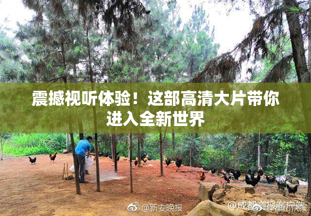 震撼视听体验！这部高清大片带你进入全新世界