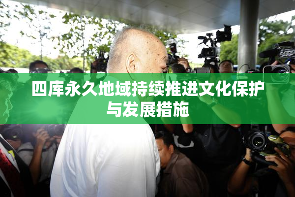四库永久地域持续推进文化保护与发展措施