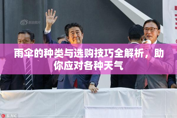 雨伞的种类与选购技巧全解析，助你应对各种天气