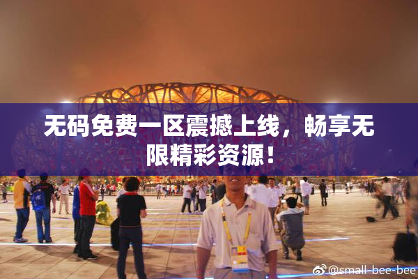 无码免费一区震撼上线，畅享无限精彩资源！