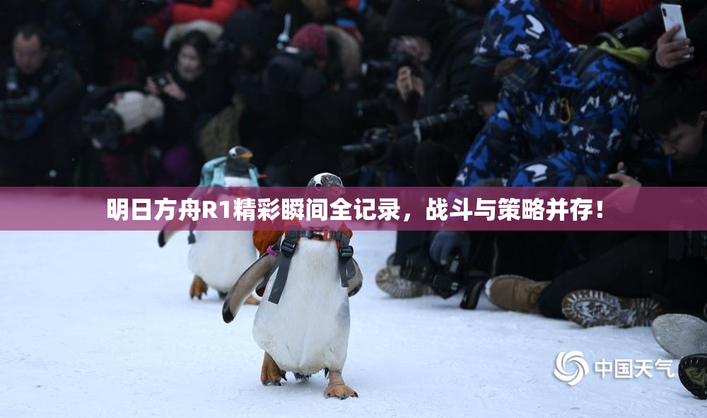 明日方舟R1精彩瞬间全记录，战斗与策略并存！