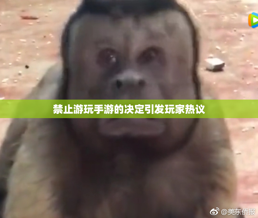 禁止游玩手游的决定引发玩家热议
