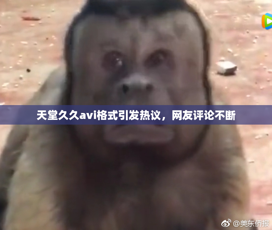 天堂久久avi格式引发热议，网友评论不断