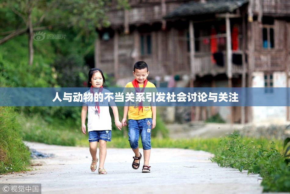 人与动物的不当关系引发社会讨论与关注