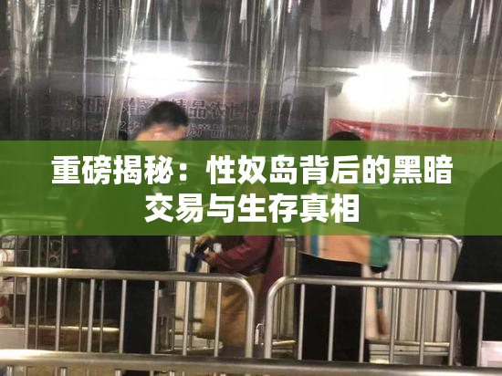 重磅揭秘：性奴岛背后的黑暗交易与生存真相
