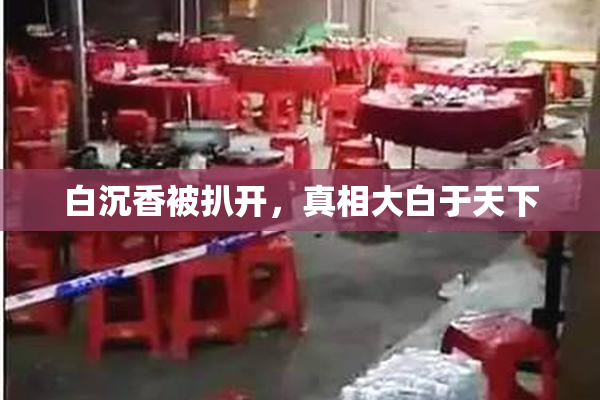 白沉香被扒开，真相大白于天下