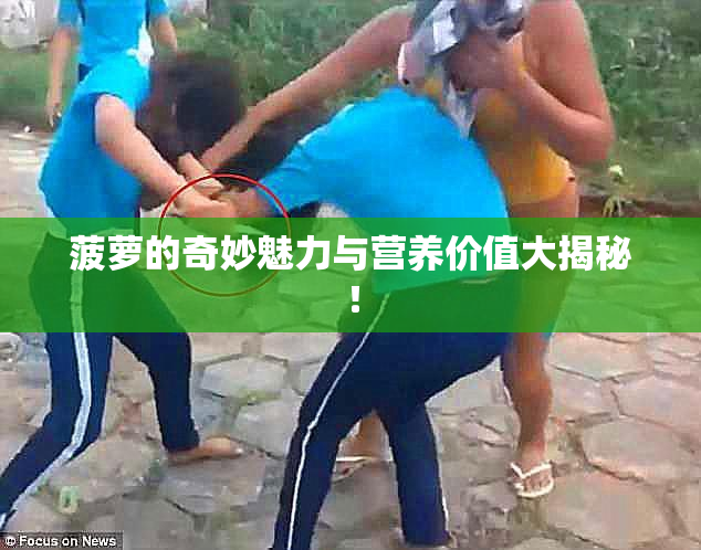 菠萝的奇妙魅力与营养价值大揭秘！