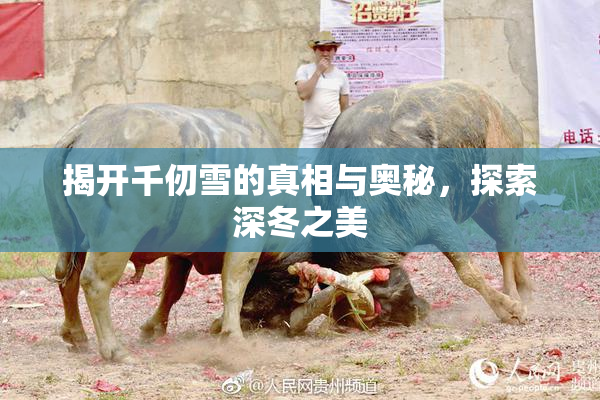 揭开千仞雪的真相与奥秘，探索深冬之美