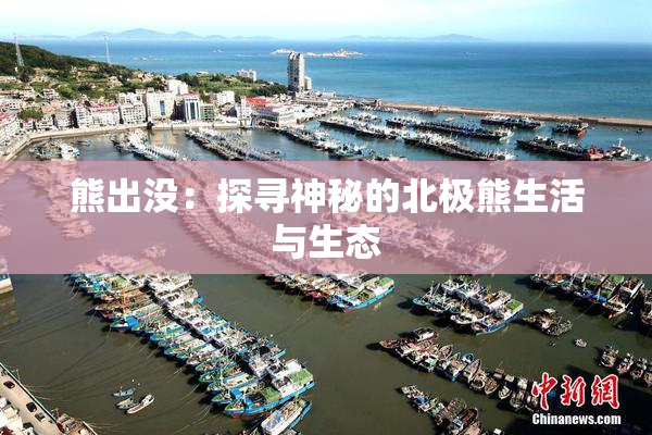 熊出没：探寻神秘的北极熊生活与生态