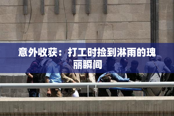意外收获：打工时捡到淋雨的瑰丽瞬间
