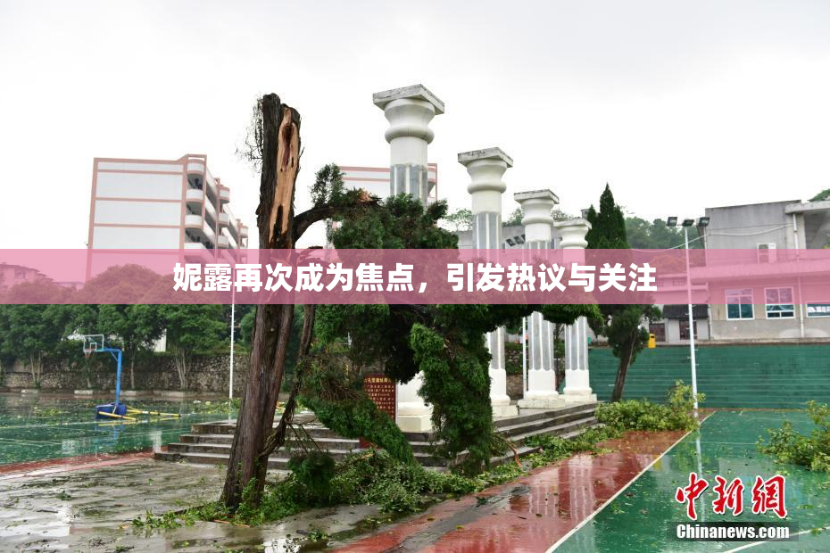 妮露再次成为焦点，引发热议与关注