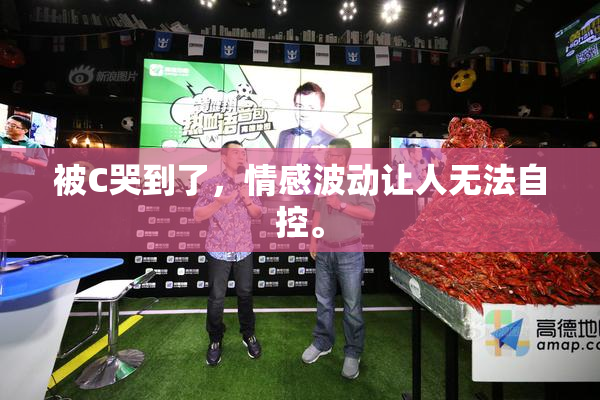 被C哭到了，情感波动让人无法自控。