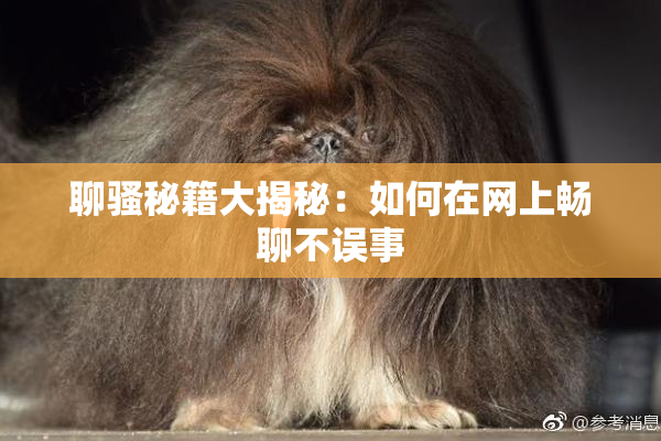 聊骚秘籍大揭秘：如何在网上畅聊不误事