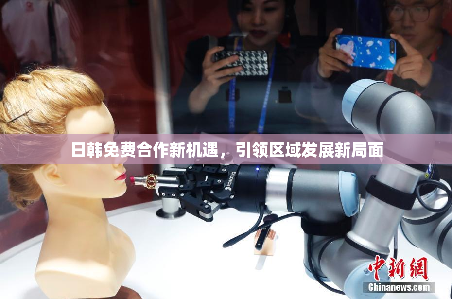 日韩免费合作新机遇，引领区域发展新局面