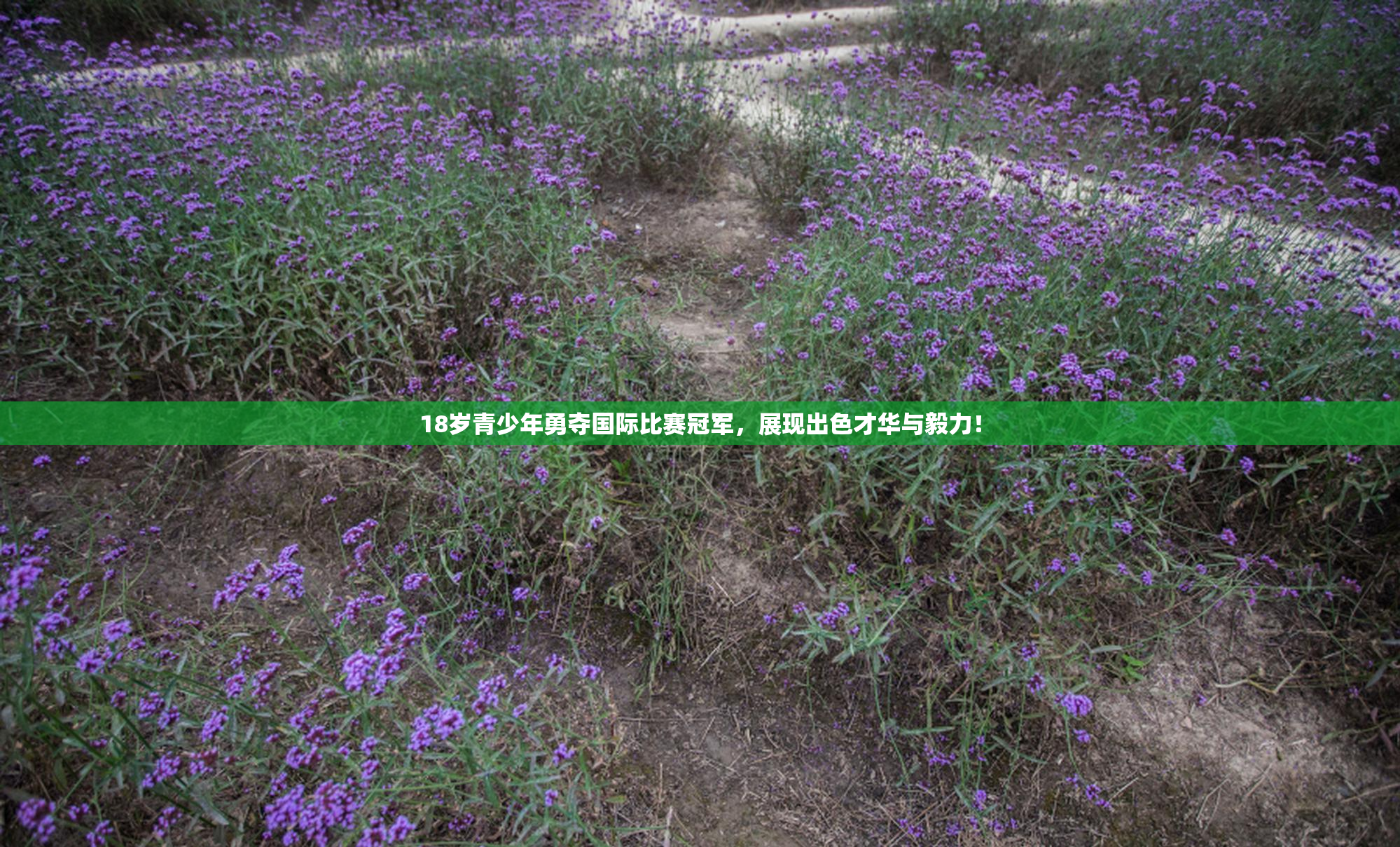 18岁青少年勇夺国际比赛冠军，展现出色才华与毅力！