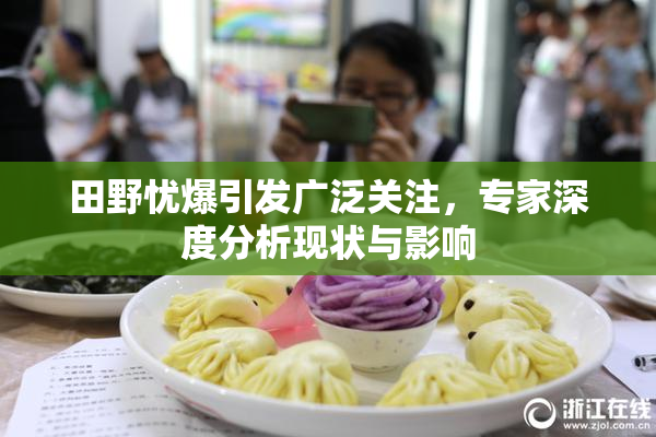 田野忧爆引发广泛关注，专家深度分析现状与影响