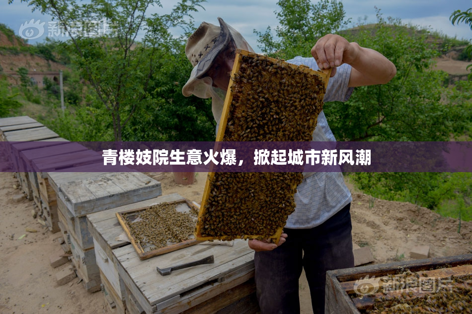 青楼妓院生意火爆，掀起城市新风潮
