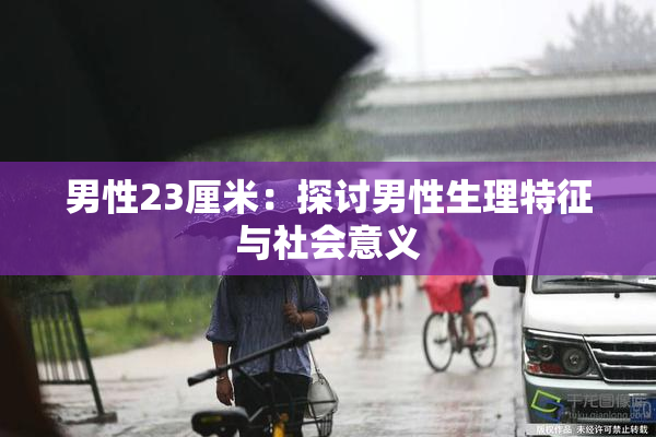 男性23厘米：探讨男性生理特征与社会意义