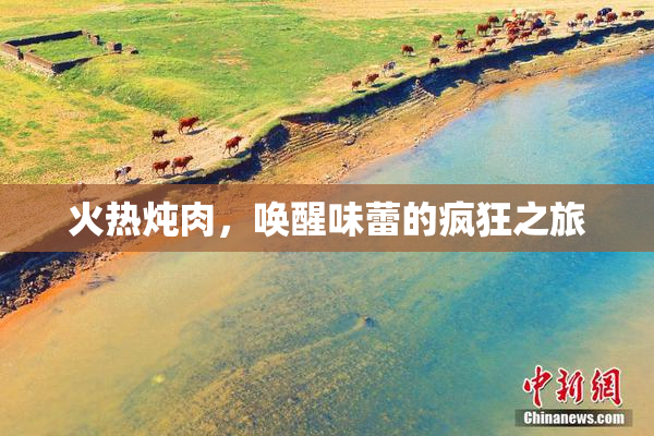 火热炖肉，唤醒味蕾的疯狂之旅