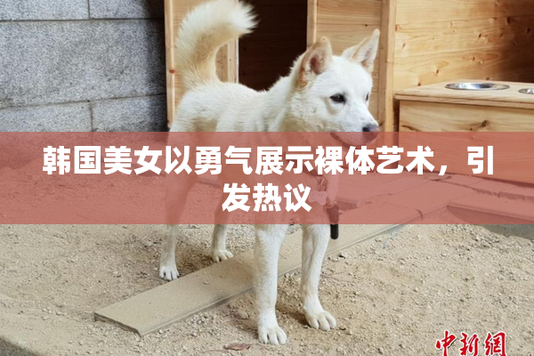 韩国美女以勇气展示裸体艺术，引发热议