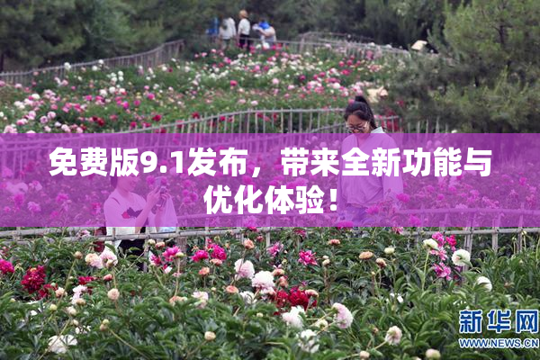 免费版9.1发布，带来全新功能与优化体验！