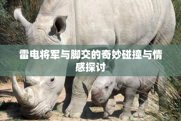 雷电将军与脚交的奇妙碰撞与情感探讨