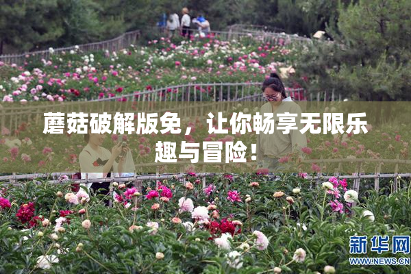 蘑菇破解版免，让你畅享无限乐趣与冒险！