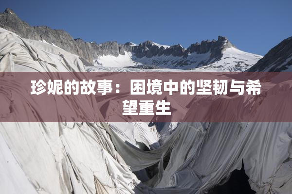 珍妮的故事：困境中的坚韧与希望重生