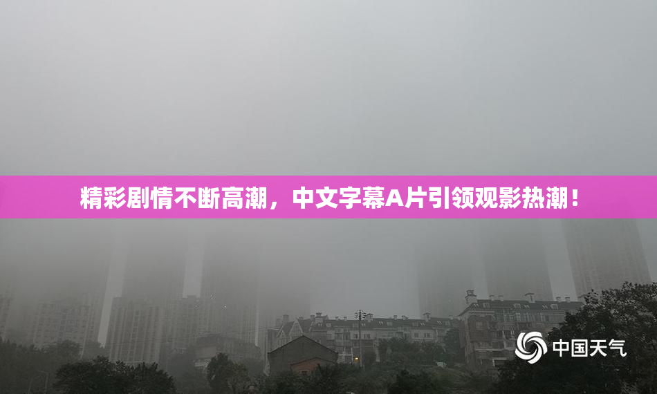 精彩剧情不断高潮，中文字幕A片引领观影热潮！