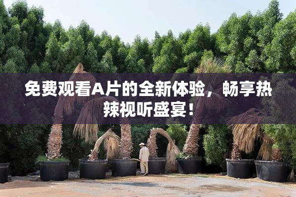 免费观看A片的全新体验，畅享热辣视听盛宴！