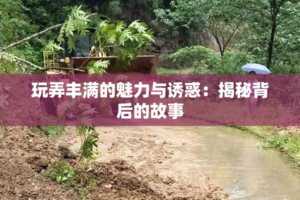 玩弄丰满的魅力与诱惑：揭秘背后的故事