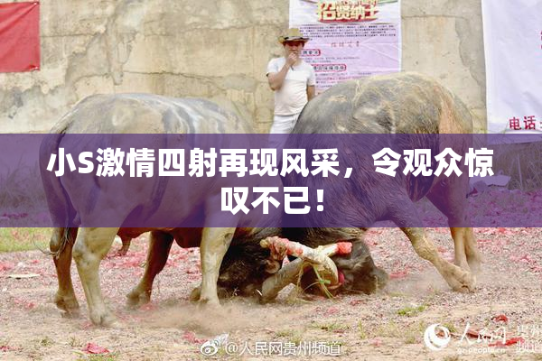 小S激情四射再现风采，令观众惊叹不已！