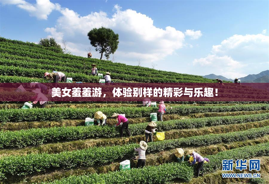美女羞羞游，体验别样的精彩与乐趣！