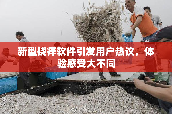新型挠痒软件引发用户热议，体验感受大不同