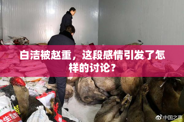 白洁被赵重，这段感情引发了怎样的讨论？