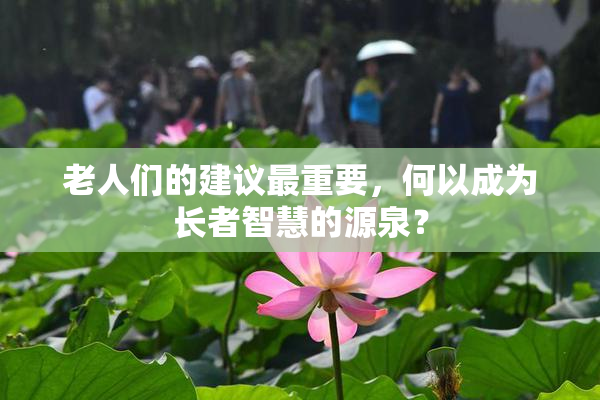 老人们的建议最重要，何以成为长者智慧的源泉？
