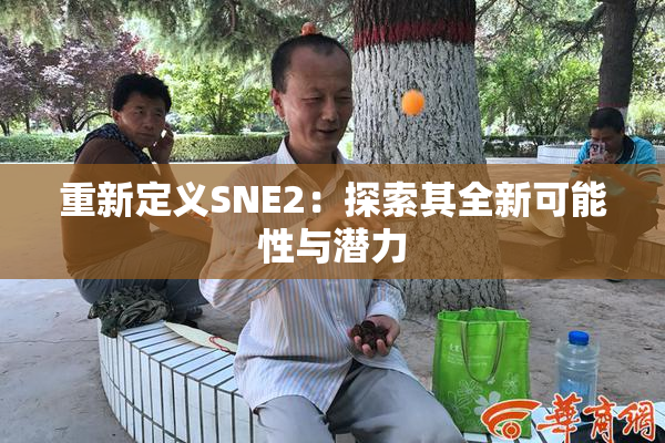重新定义SNE2：探索其全新可能性与潜力