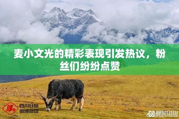 麦小文光的精彩表现引发热议，粉丝们纷纷点赞