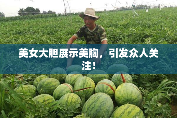 美女大胆展示美胸，引发众人关注！