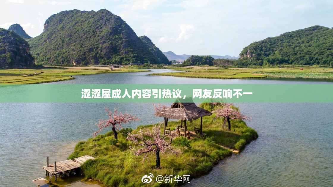 涩涩屋成人内容引热议，网友反响不一