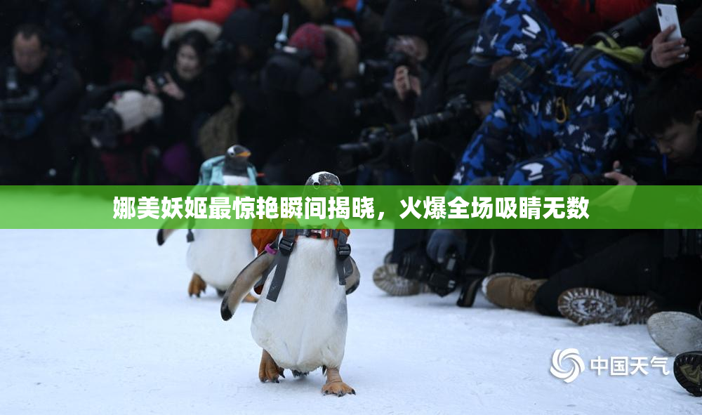 娜美妖姬最惊艳瞬间揭晓，火爆全场吸睛无数