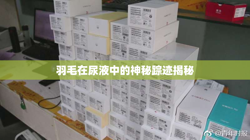 羽毛在尿液中的神秘踪迹揭秘