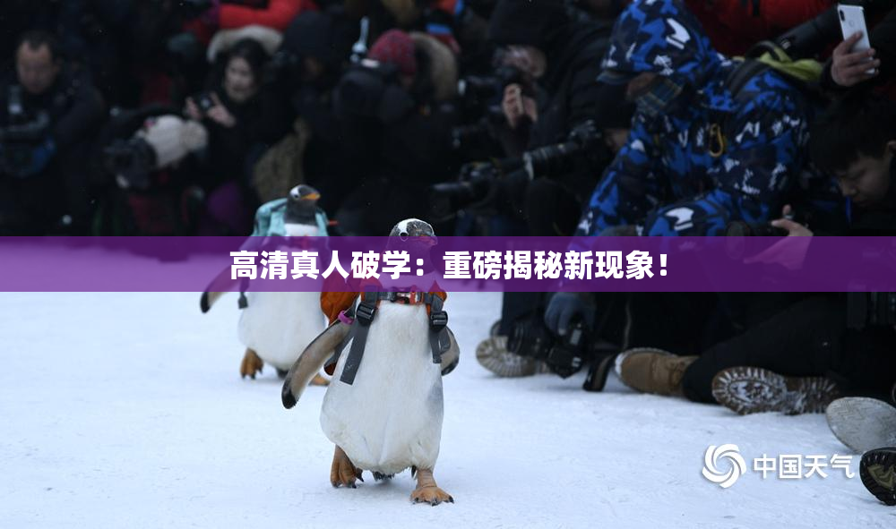 高清真人破学：重磅揭秘新现象！