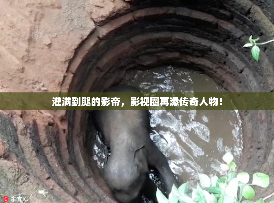 灌满到腿的影帝，影视圈再添传奇人物！