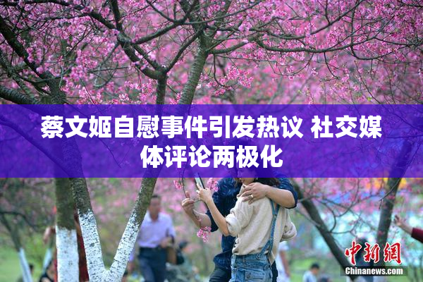 蔡文姬自慰事件引发热议 社交媒体评论两极化