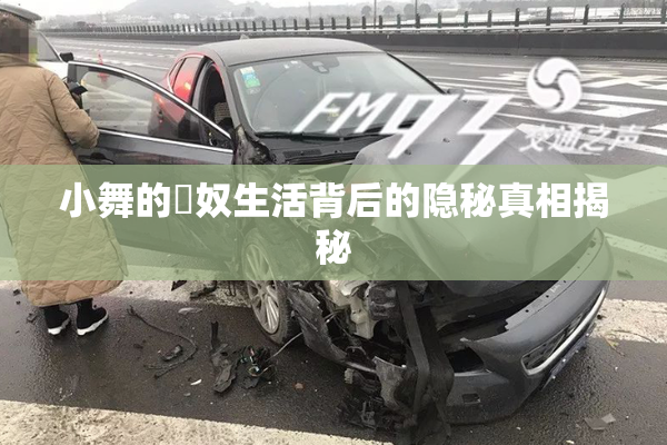 小舞的婬奴生活背后的隐秘真相揭秘